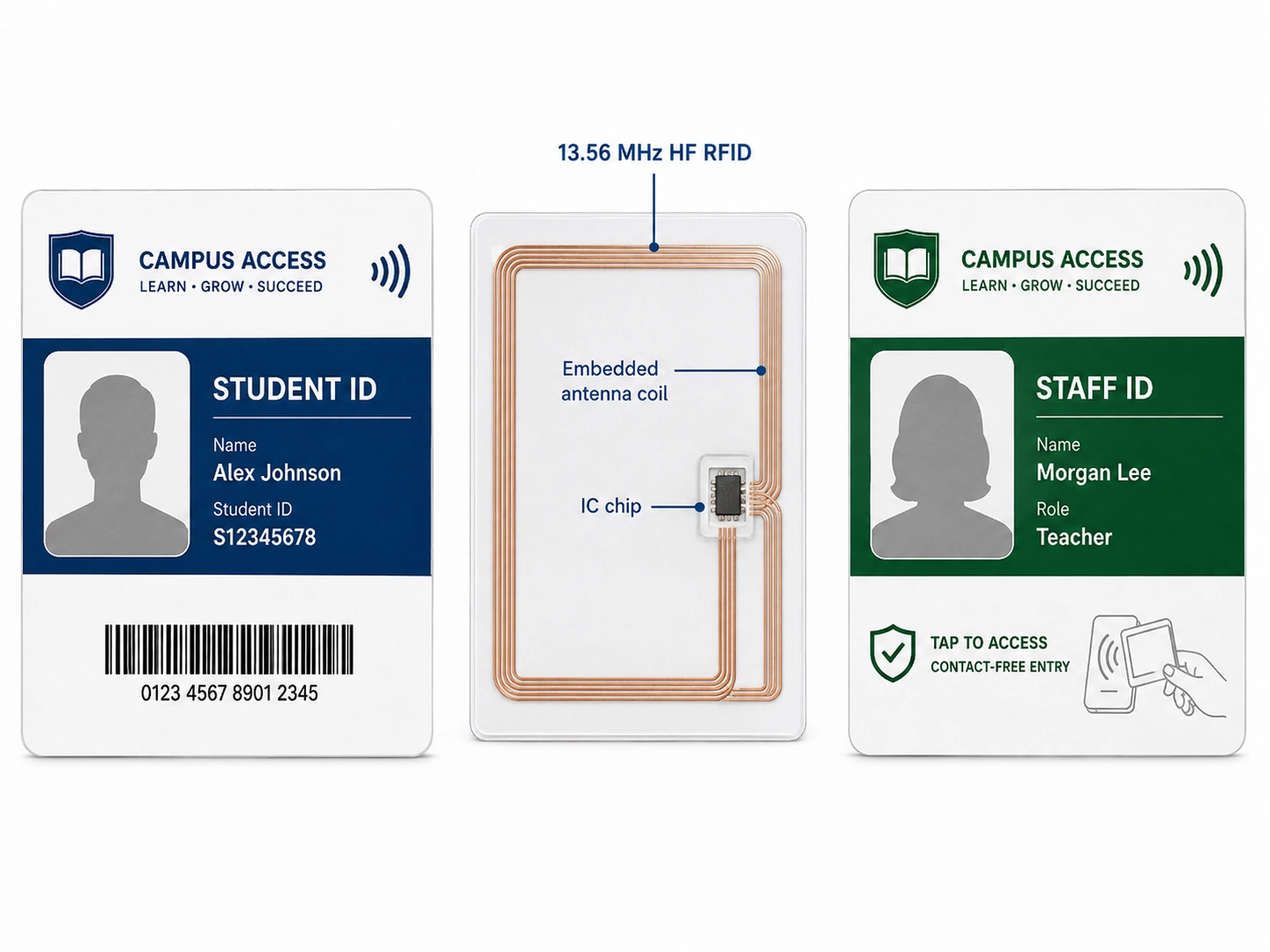 Custom RFID smart cards showing 13.56 MHz frequency chip layout and contact-free credential design for schools and campus access control